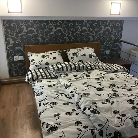 Chervona Ruta Sea View Appt Apartment